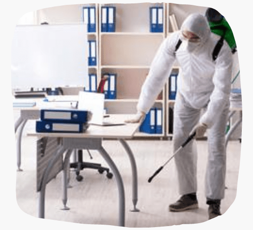 Pest Control Werribee