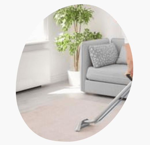 Rug Cleaning Werribee