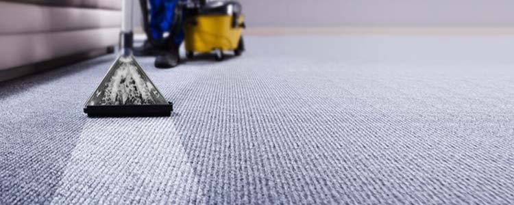 Carpet Cleaning Service