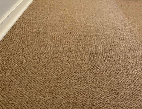 carpet cleaning werribee